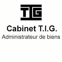 CABINET TIG Logo